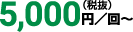 5,000円（税抜）／回～